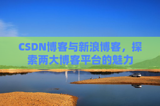 CSDN博客与新浪博客,探索两大博客平台的魅力